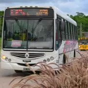 Implementan un operativo especial de transporte por el "Cultural Fest": d�nde se ubicar�n las paradas