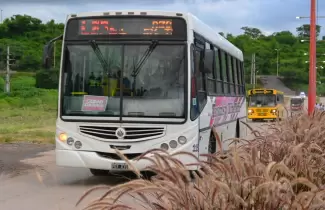 transito ciudad cultural