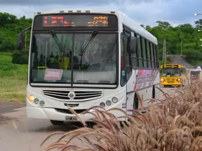 transito ciudad cultural