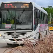 Por la exposicin de carrozas del domingo, el transporte urbano llegar a Ciudad Cultural desde las 13 horas