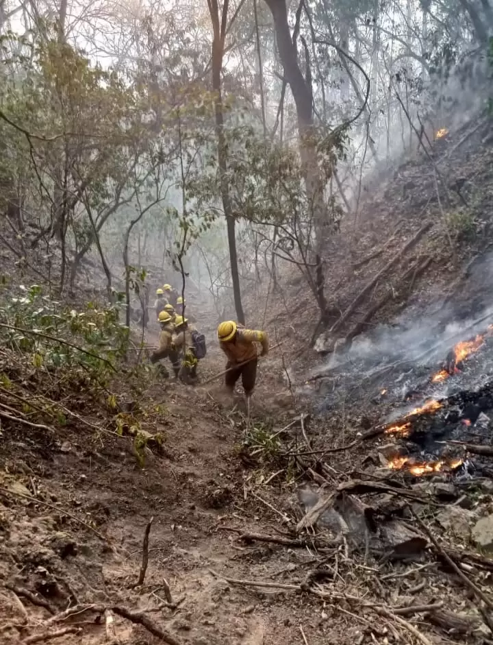 incendios jujuy