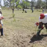 La Municipalidad y ARCA plantaron 50 rboles nativos en el acceso a Villa Jardn de Reyes