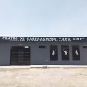 Nuevo número para solicitar turnos de castración en el Centro "Ana Ríos"