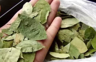 coca