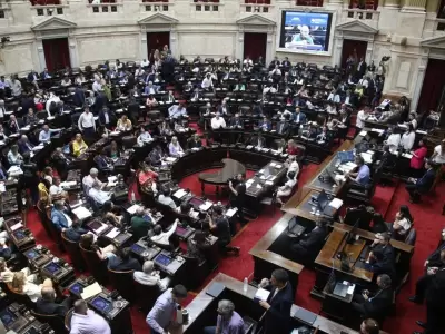 diputados