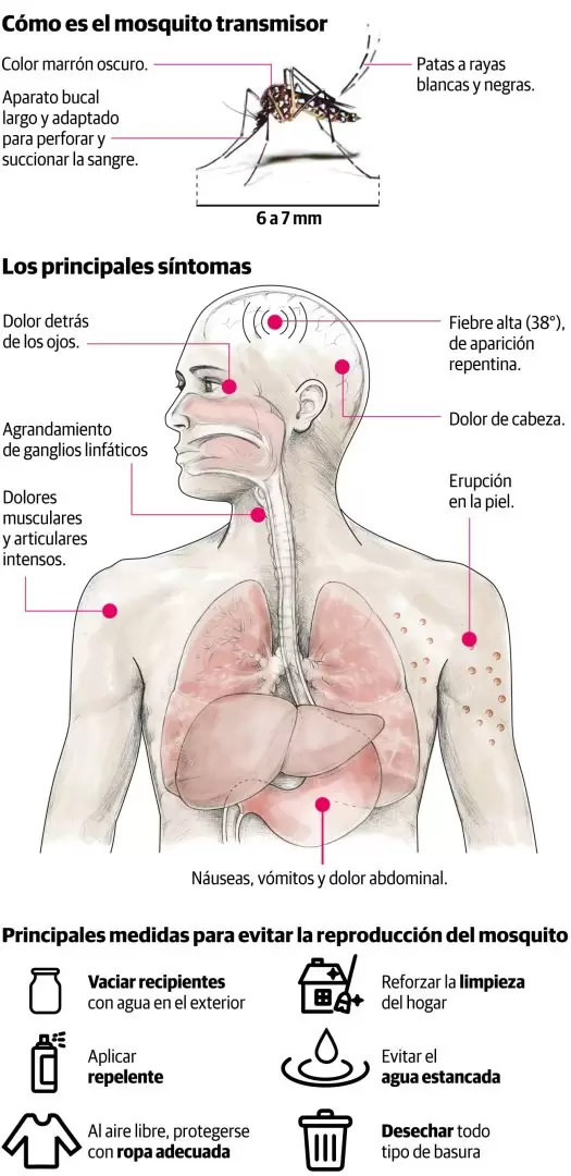 dengue