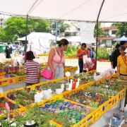 Llega la 4� Edici�n de La Flor M�s Bella