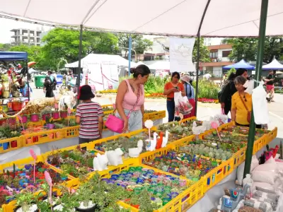 paseo-de-las-plantas