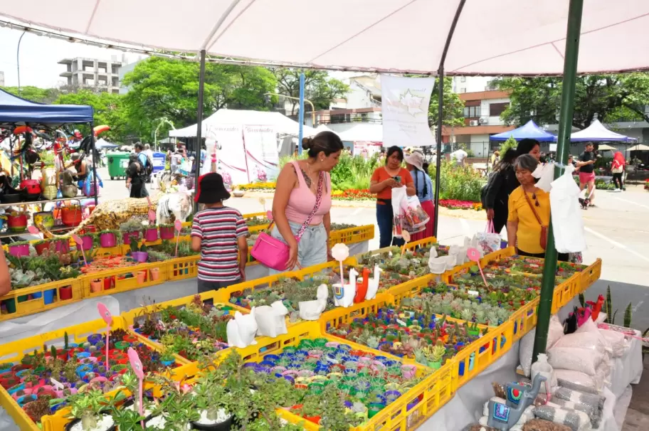 paseo-de-las-plantas