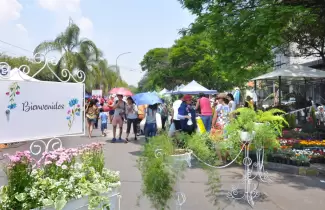 paseo-de-las-plantas