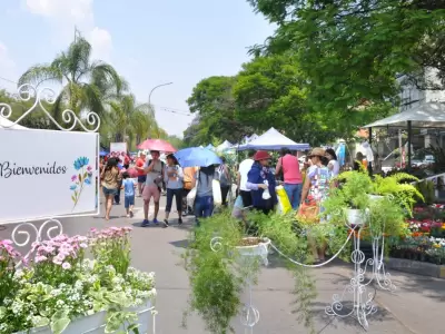 paseo-de-las-plantas