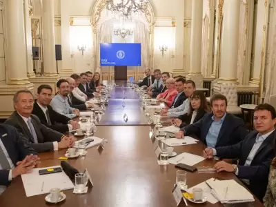 radicales gobierno
