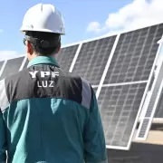 YPF estrena el RIGI: invertir� USD 220 millones en un parque de energ�a solar en Mendoza