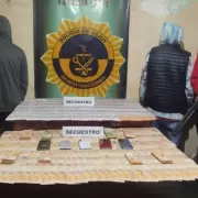 Detuvieron a una banda de cuatreros que robaba animales en la Puna jujeña y los comercializaba en Bolivia