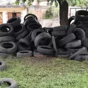 Este jueves se realizará un nuevo Neumatón en Alto Comedero