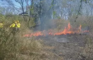 Incendio de vegetaci�n