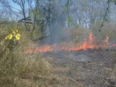 Incendio de vegetaci�n