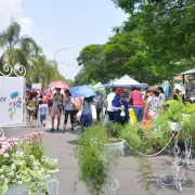 Habr� restricci�n de tr�nsito por el evento "Jujuy Florece": calles y horarios