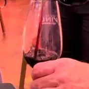 Arranca la Feria del Vino de Jujuy: dos noches para celebrar los sabores del NOA