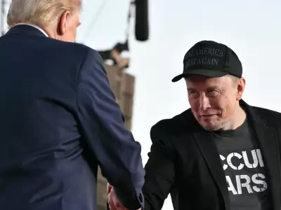 elon musk donald trump