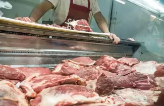 carne cerdo