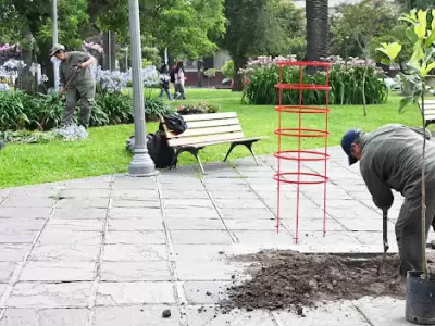 pasep plaza belgrano