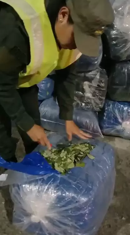 Salta: Trasladaba más de una tonelada de hojas de coca en un camión que tenía los precintos de seguridad aduanero adulterados