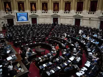 diputados