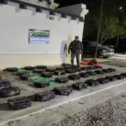 Incautaron más de 540 kilos de hojas de coca en dos procedimientos en Jujuy