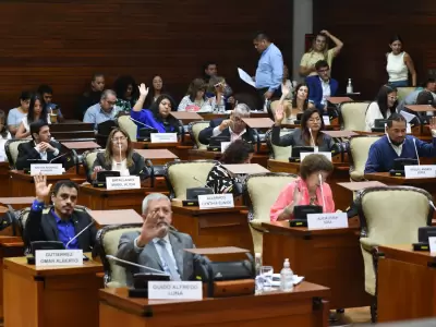 Presupuesto 2025