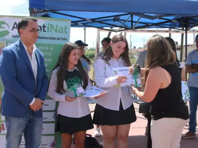 arborizaci�n colegio nueva siembra