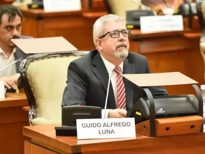 Diputado Guido Luna