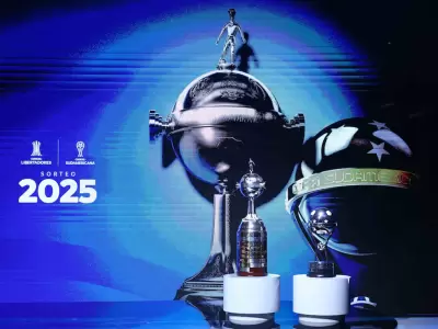 copa libertadores y sudamericana