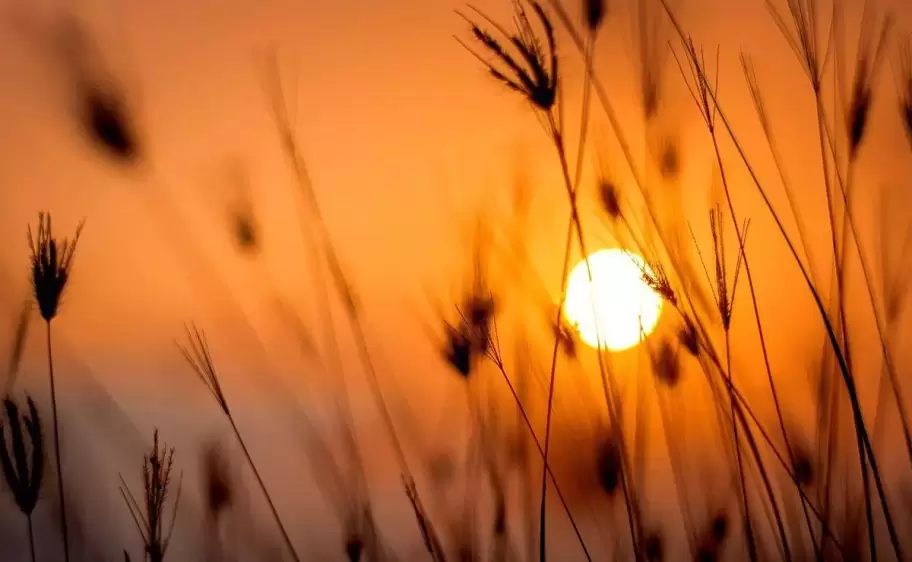 solsticio