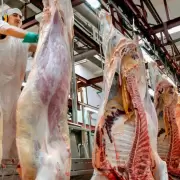 Las exportaciones de carne vacuna consolidaron su repunte respecto al año pasado, aunque cayeron el último mes