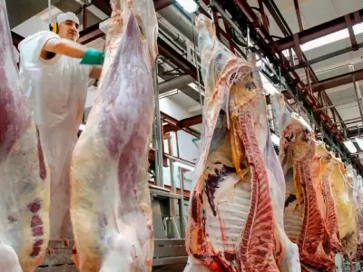 carne bovina