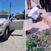 Motochorros robaron 10 millones de pesos en Perico: el dinero fue recuperado y hay un detenido