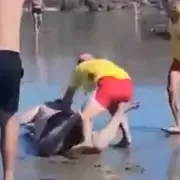 La drástica decisión que tomaron con los dos guardavidas que se pelearon con un veraneante en una playa de Chubut