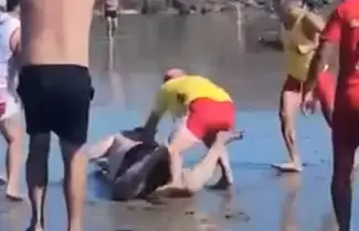 Disturbios en una playa de Chubut