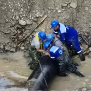 Agua Potable planifica la reingenier�a definitiva para el acueducto principal de 630 mm