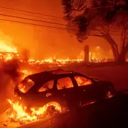 Incendios en Los Ángeles: ya son 16 los muertos y hay 180 mil evacuados