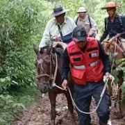 Exitoso rescate de un adulto mayor que requer�a asistencia m�dica en Normenta