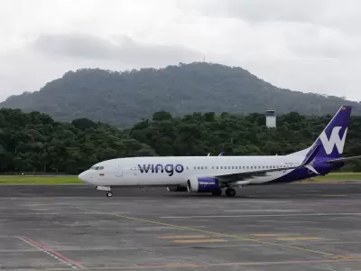 aerol�nea wingo