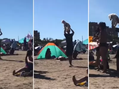 se perdio un perro en la playa