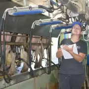 La producción de leche cayó un 6,5% en 2024, con fuertes contrastes entre regiones y tambos