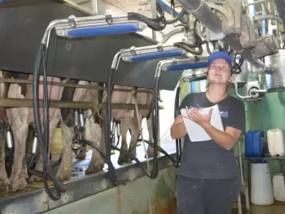 producci�n de leche