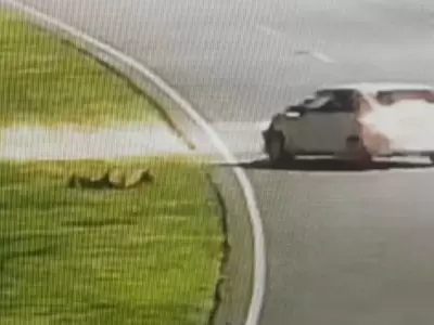 auto policia