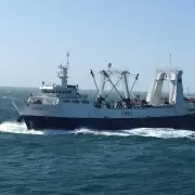 Pesca ilegal: China aumenta su presión sobre el Mar Argentino usando buques con bandera de Vanuatu y Camerún