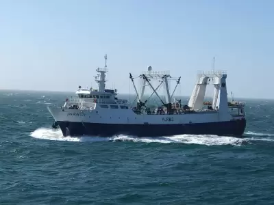 barcos chinos
