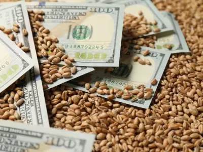 dolar soja